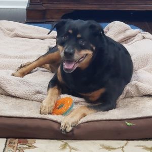 Meet your Posher, Brian